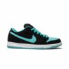 Nike SB Dunk Low Clear Jade 304292-030
