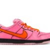 The Powerpuff Girls X Nike Dunk Low Pro SB QS Blossom FD2631-600