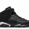 Air Jordan 6 Retro GS Black Cat Everlasting Sneaker