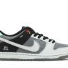 Nike SB Dunk Low Camcorder CV1659-001