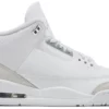 Air Jordan 3 Retro "Pure Money"