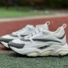 Dior B22 Sneaker White Grey